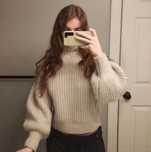 Express Gray Turtleneck Sweater